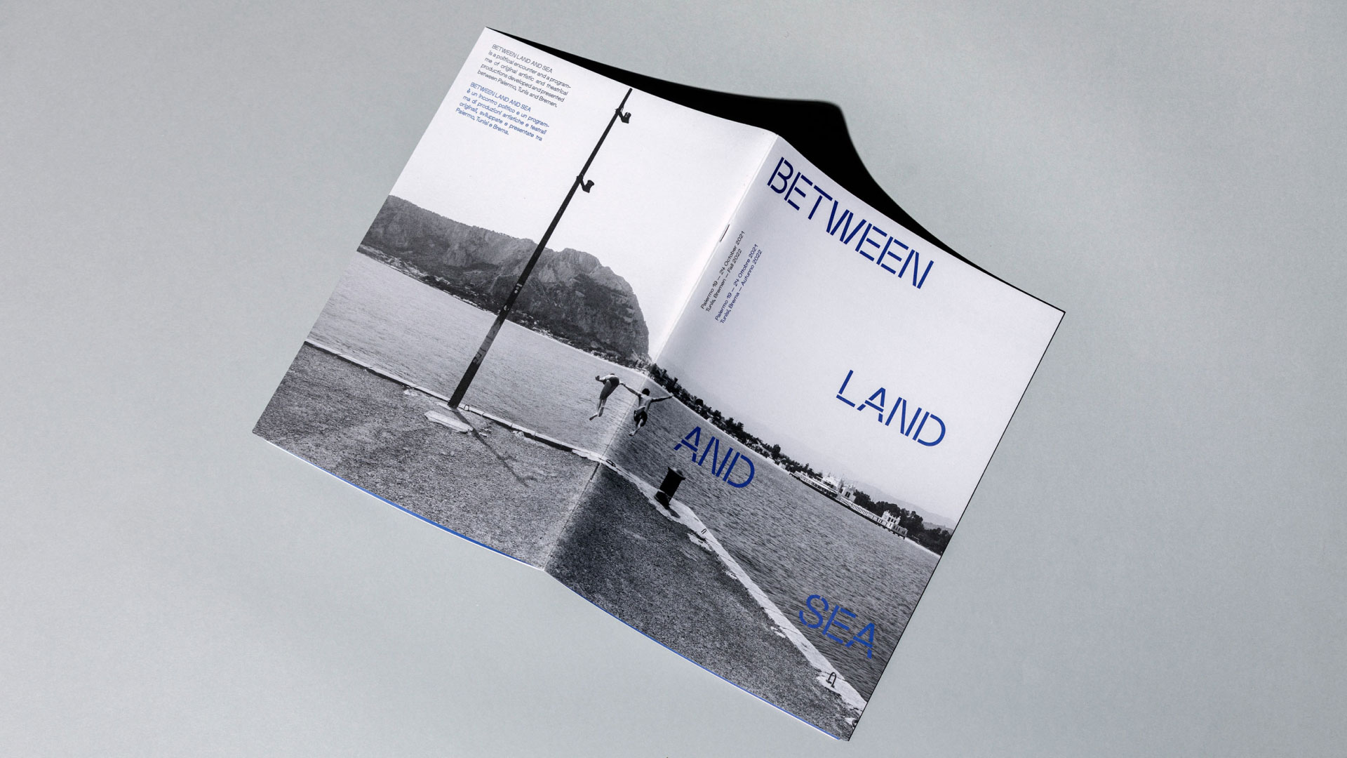 blas_book2